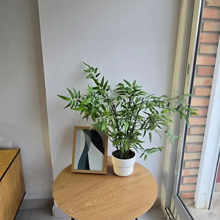 Appartamento Minerva 401 Estudio Con Gran Piscina Y Parque Acuatico *